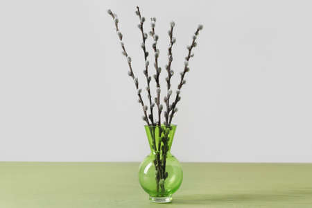 Vase with willow branches on color background