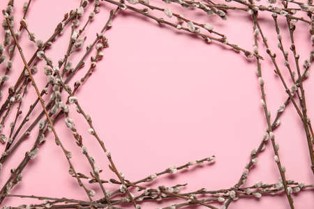Frame made of willow branches on color background