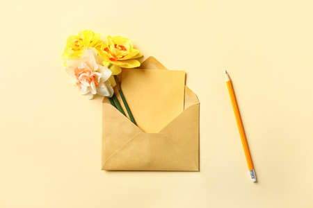 Beautiful daffodils and envelope with blank card on color background