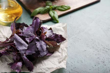 fresh basil on color backgroundの写真素材