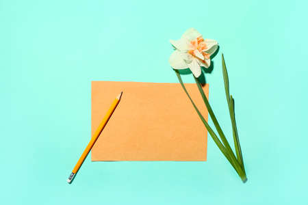 Beautiful narcissus and blank card with pencil on color background