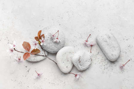 Spa stones with blossoming branch on white background