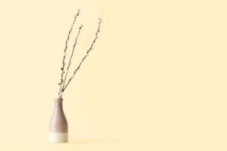 Vase with willow branches on color backgroundの写真素材