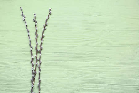 Willow branches on wooden backgroundの写真素材