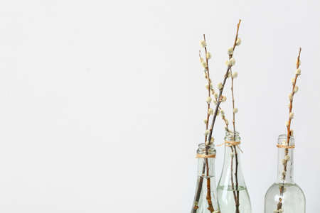 Bottles with willow branches on white background