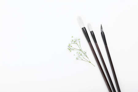 Calligraphic brushes and flowers on white background