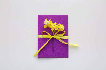 Beautiful daffodils and greeting card on white background