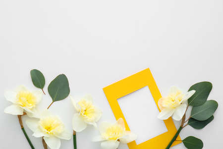 Beautiful daffodils and blank card on white backgroundの写真素材