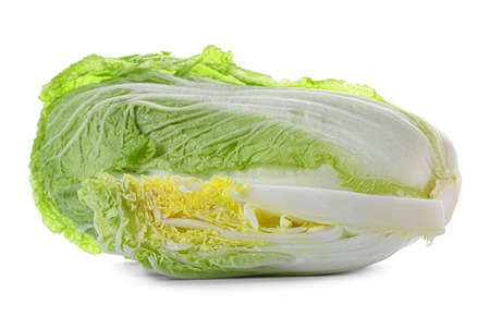fresh chinese cabbage on white backgroundの写真素材
