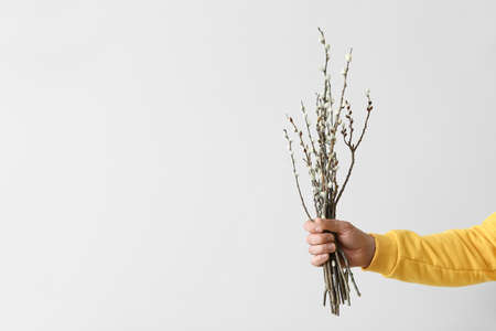 Male hand with willow branches on light backgroundの写真素材