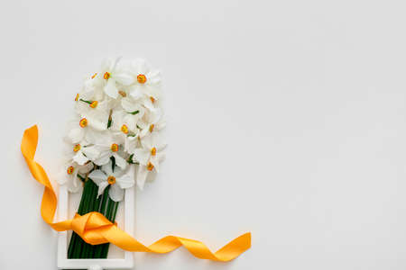Beautiful daffodils and ribbon on white background