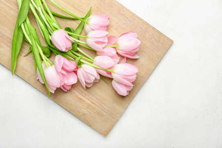 Beautiful tulip flowers on light background