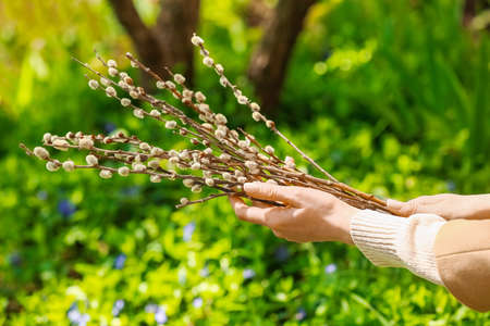 Woman with willow branches outdoorsの写真素材