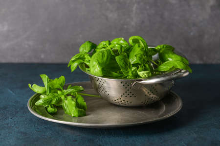Colander with fresh basil leaves on dark backgroundの写真素材