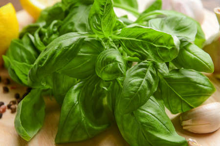 Fresh basil leaves on table, closeupの写真素材