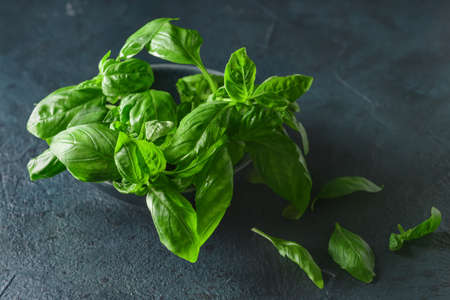 Bowl with fresh basil leaves on dark backgroundの写真素材