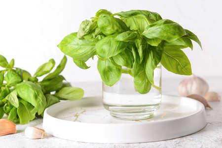 Tray with fresh basil leaves and garlic on light backgroundの写真素材