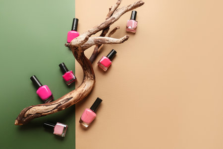 Nail polishes and dry branch on colorful backgroundの写真素材