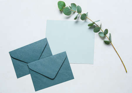 Blank card with envelopes and plant branch on white backgroundの写真素材