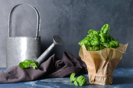 Fresh basil in pot on color backgroundの写真素材
