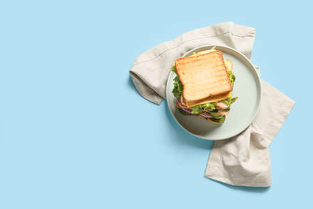 Plate with tasty sandwich on color backgroundの写真素材