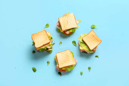 Tasty sandwiches on color background
