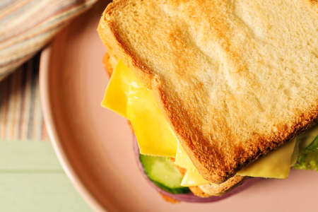 Plate with tasty sandwich on color wooden background, closeup
