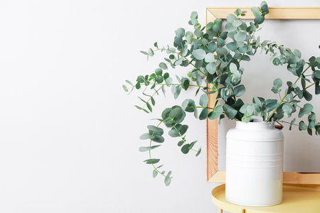 Vase with green eucalyptus branches on table near light wallの写真素材