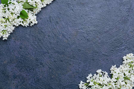 Beautiful lilac flowers on dark backgroundの写真素材