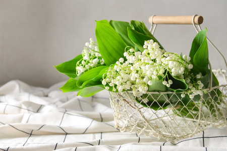 Basket with beautiful lily-of-the-valley flowers on light backgroundの写真素材