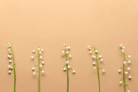Beautiful lily-of-the-valley flowers on color backgroundの写真素材