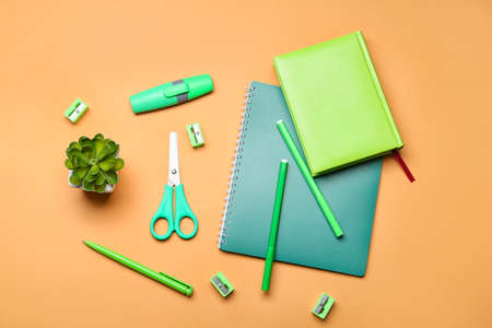 Composition with different stationery and houseplant on color background