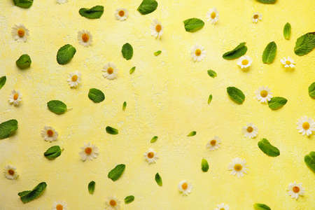 Frame made of chamomile flowers and mint leaves on color background