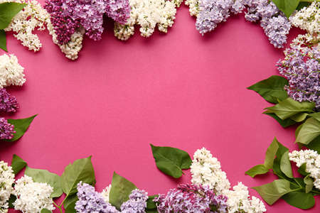 Frame made of beautiful lilac flowers on color background