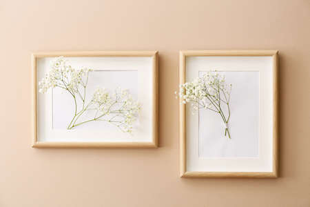 Photo frames with beautiful gypsophila flowers hanging on color wall
