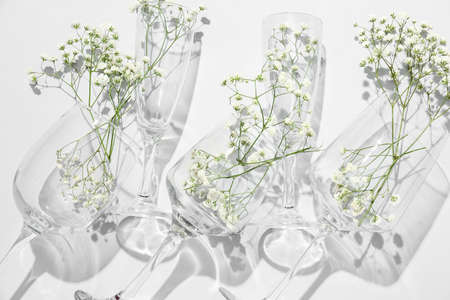 Glasses with beautiful gypsophila flowers on white backgroundの写真素材