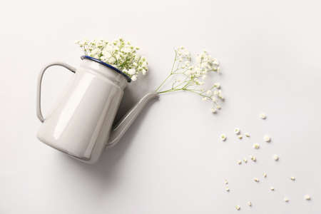 Watering can with beautiful gypsophila flowers on light backgroundの写真素材