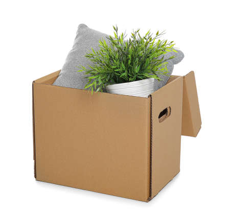 Wardrobe box with houseplant and pillow on white background