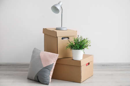 Wardrobe boxes, houseplant, lamp and pillow on wooden floor near light wallの写真素材