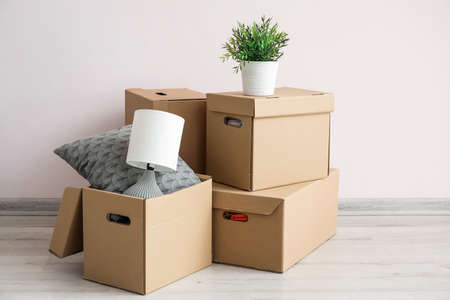 Wardrobe boxes, houseplant, lamp and pillow on wooden floor near light wall