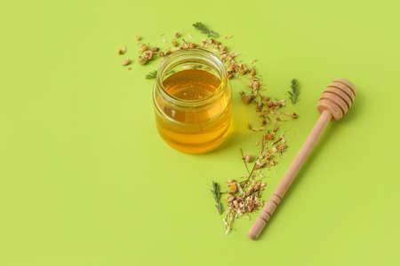 Jar of sweet honey and dried chamomile flowers on color background
