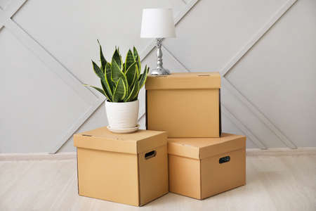 Boxes with clothes, houseplant and lamp on wooden floor near light background