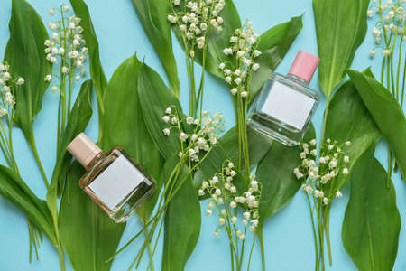 Bottles of perfume and lily-of-the-valley flowers on color background