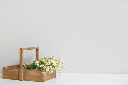 Box with chamomiles on table near light wall