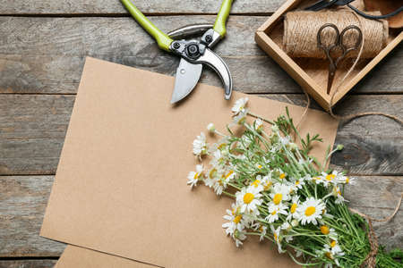 Composition with beautiful chamomile flowers, scissors and paper sheet on wooden backgroundの写真素材