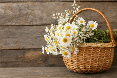 Basket with beautiful chamomile flowers on wooden backgroundの写真素材