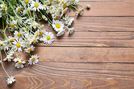 Beautiful chamomile flowers on wooden backgroundの写真素材
