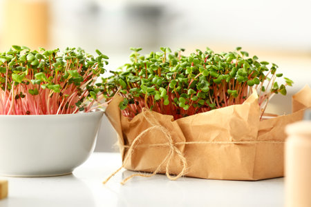 Fresh microgreen sprouts on table, closeupの写真素材