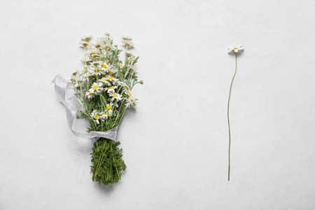 Bouquet of beautiful chamomile flowers on light background