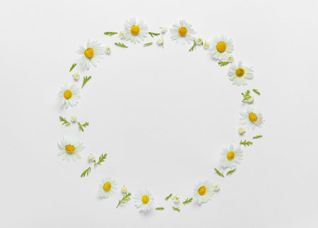 Frame made of beautiful chamomile flowers on light backgroundの写真素材